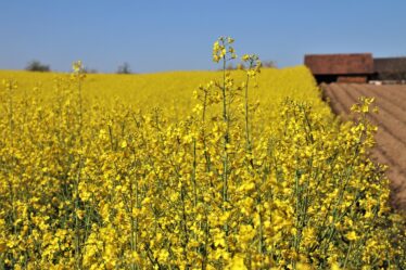 Snelladen boven 90% zinvol