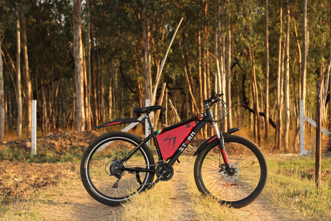 Laden met fietsendrager effecten