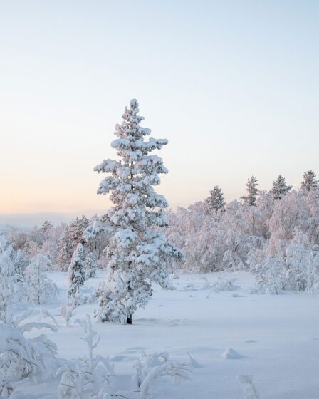 Snelladen goedkoop in winter