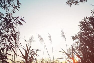 Snelladen bij vakantieparken