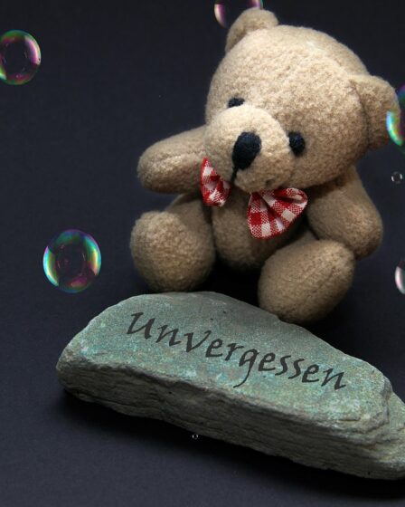 Goedkoop snelladen vinden