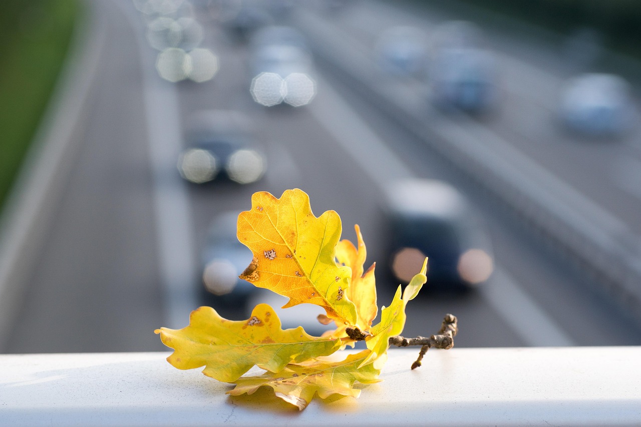 Hoe werkt EV fast charging limit