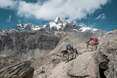 Laden bij evenementen