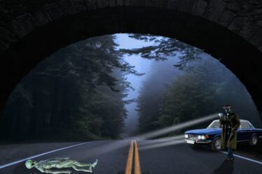 Zaklamp voor elektrische auto