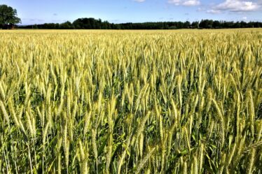 Snelladen in warme juli maand