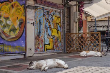 Snelladen tijdens lunchpauze