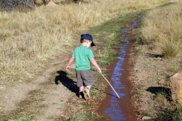 EV luchtverfrisser geurloos