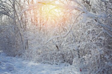 Laden bij vliegvelden