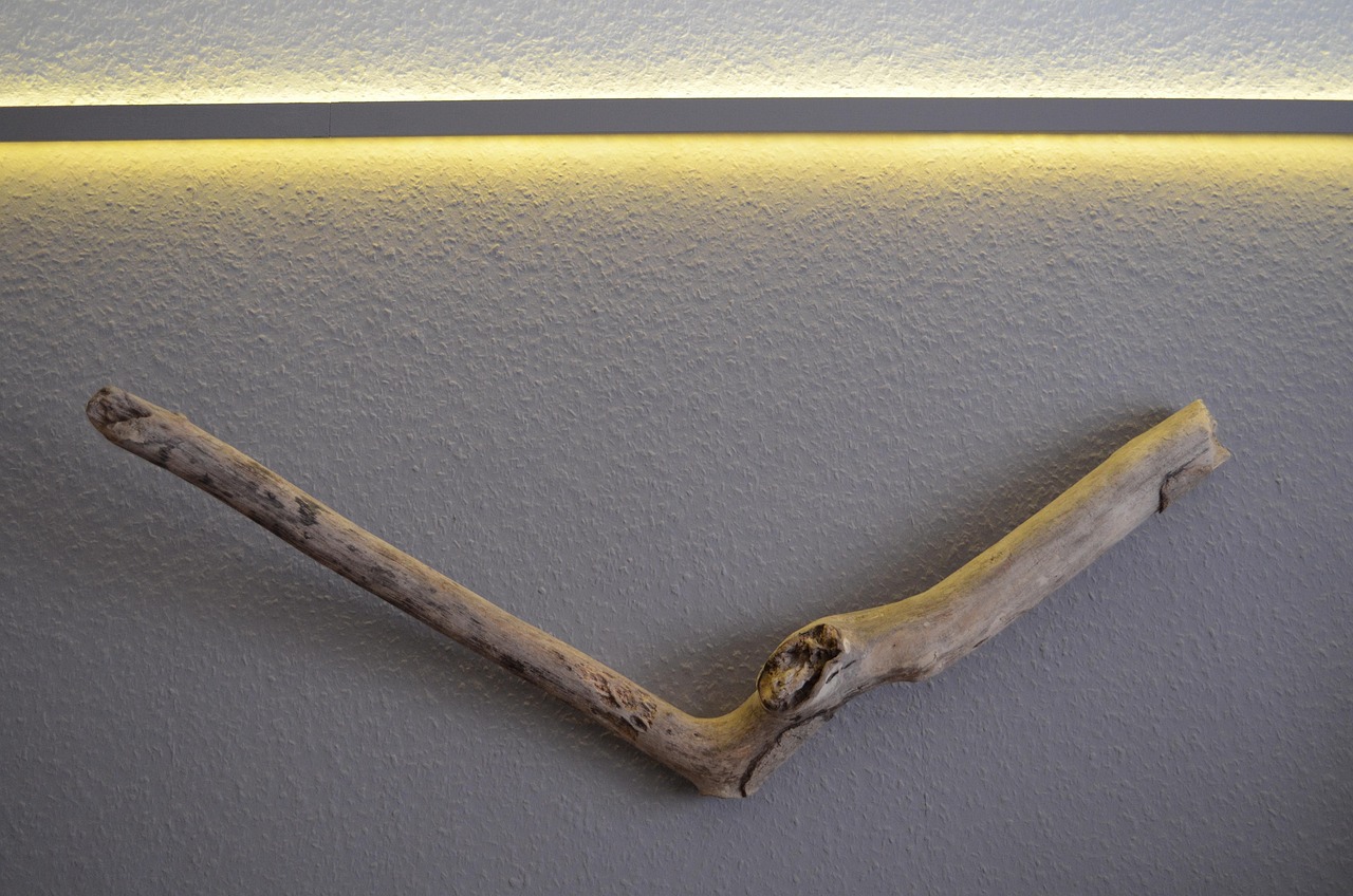 LED interieur verlichting EV