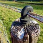 E-Flux laadpas kosten en tarieven