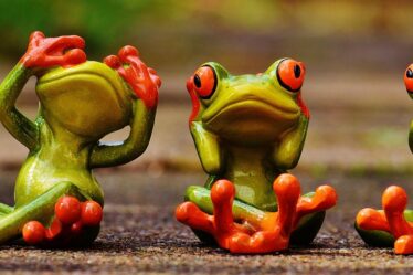 Snelladen Tesla Superchargers