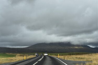 Organizer voor subtrunk