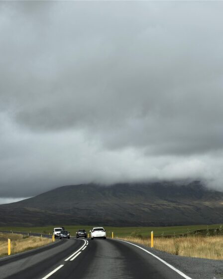 Organizer voor subtrunk