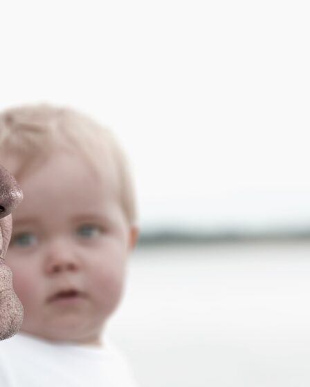 Snelladen met accugezondheid laag