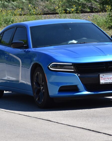 Organizer voor frunk