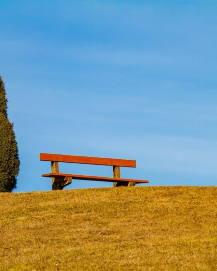 Gordelhoes comfort EV