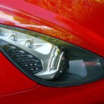 Snelladen met huisdieren