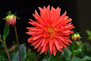 Laden bij defecte laadkabel