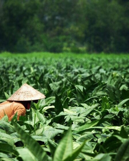 Laadpas voor goedkope wintertarieven