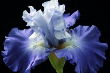 Laadpas met cashback voordelen