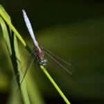 Wat is energy consumption rate