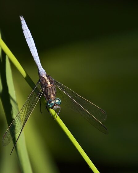 Wat is energy consumption rate