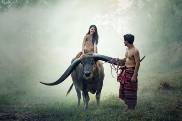 Laadpas compatibel met Android Wallet