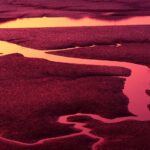 Beste universele laadpas keuze