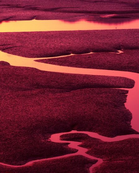 Beste universele laadpas keuze